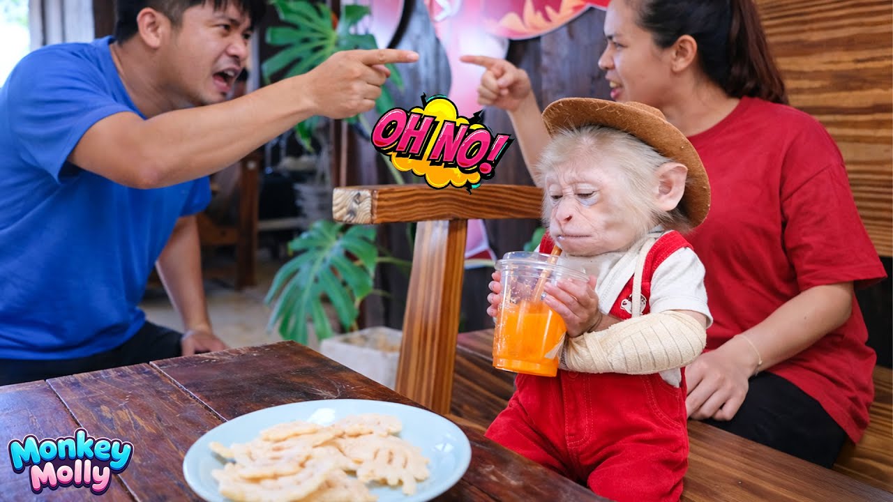 Monkey Molly feels helpless as her parents argue about letting her go for coffee alone