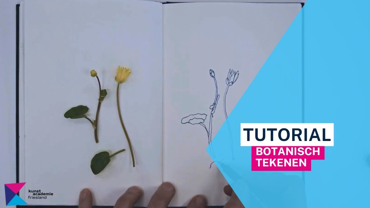Tutorial: Teken instructie botanisch tekenen.