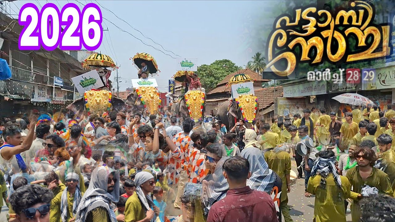അടി മുതൽ മുടി വരെ PATTAMBI NERCHA 2026 പട്ടാമ്പി നേർച്ച eliphant march 