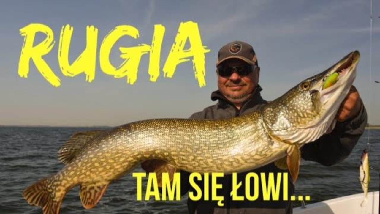 Wędkarstwo spinningowe WYSPA RUGIA - SZCZUPAK 120 cm