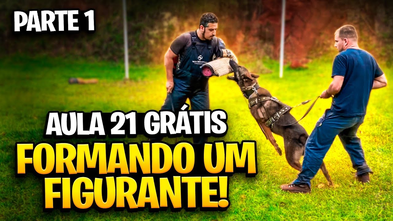 CURSO FIGURANTE DE CÃES DE PROTEÇÃO! [Parte 1]