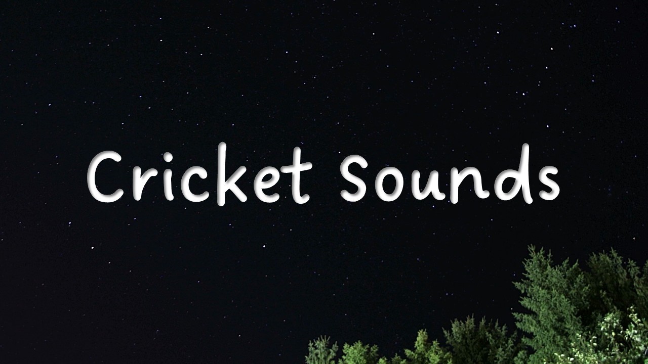 Crickets Sounds - Natural Nighttime Ambience for Sleep, Studying, & Relaxation - No Music or Talking