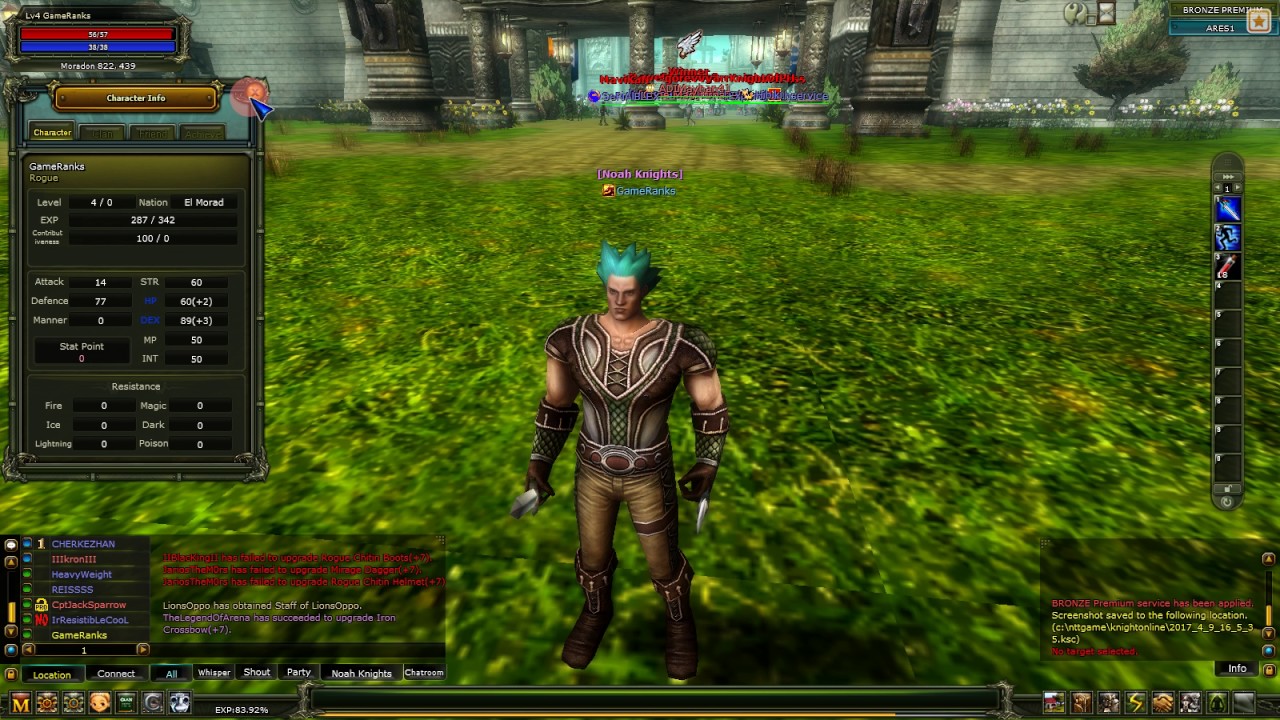 Stat Points for Beginner Rogue on Knight Online