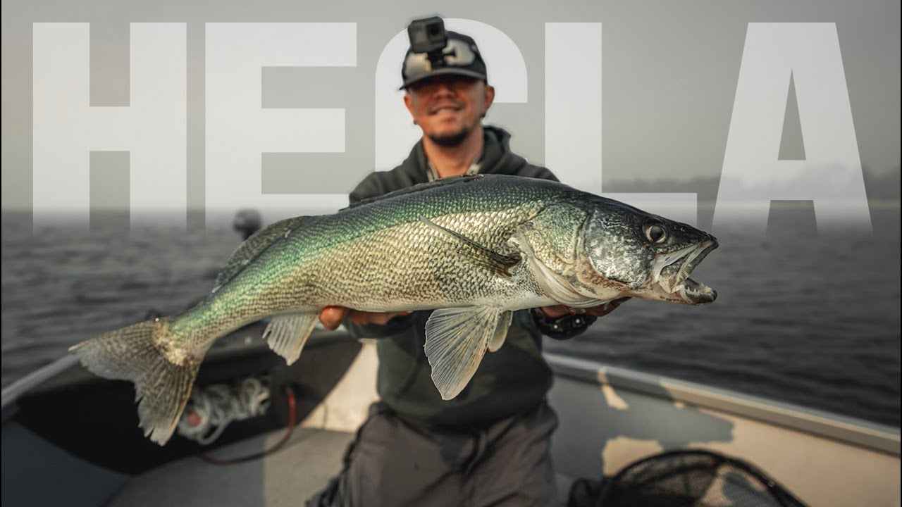 How To Catch Early Fall WALLEYE in Hecla - Lake Winnipeg