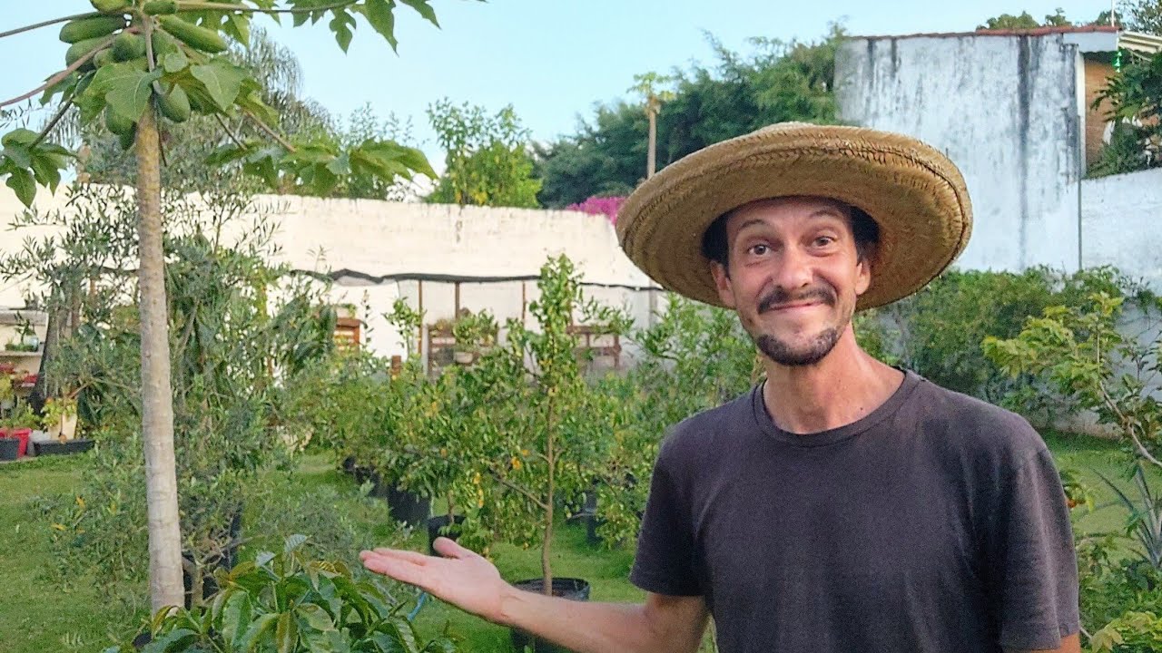 VEJA COMO É PRODUTIVO O CULTIVO EM VASOS.