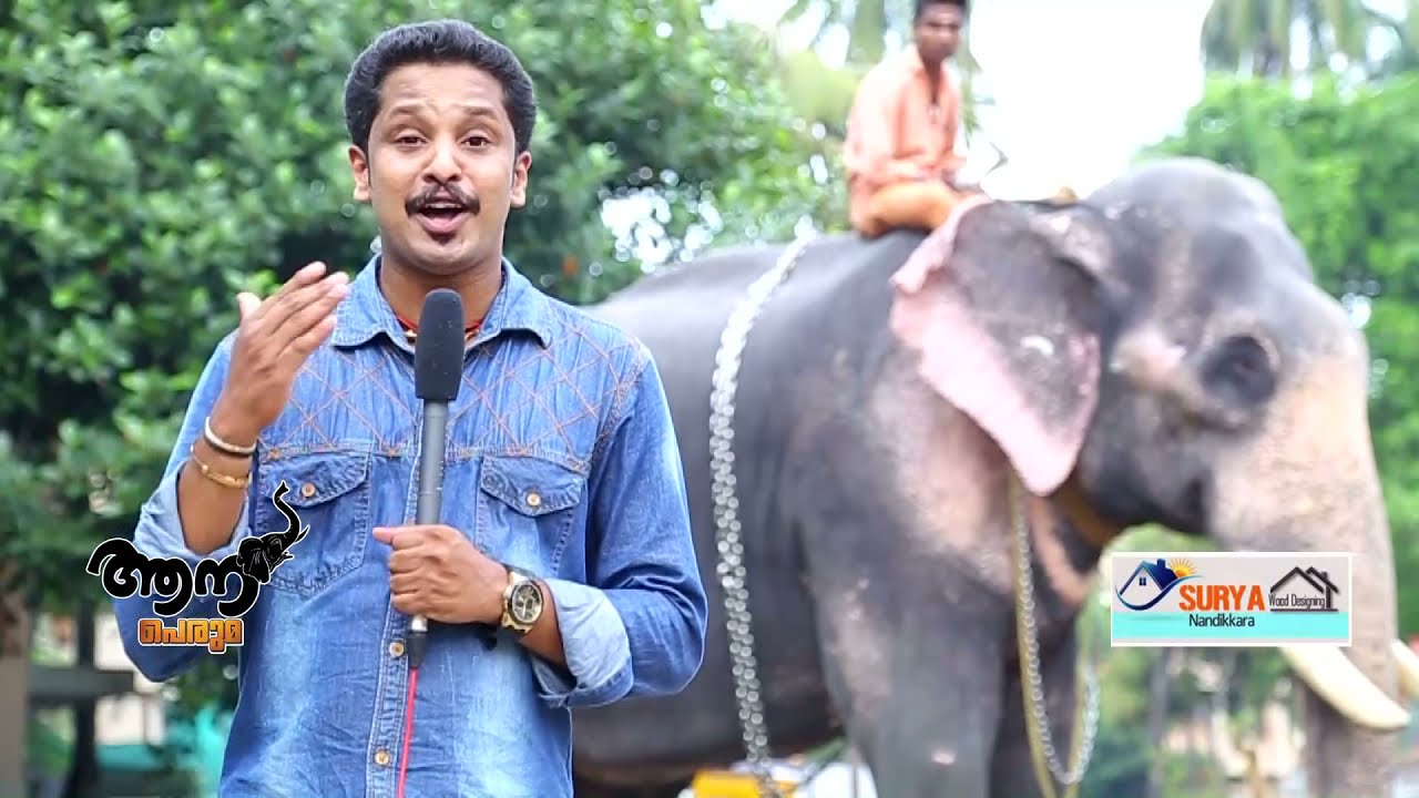 Paramekkavu Devidasan ( aana  peruma  episode -16 )