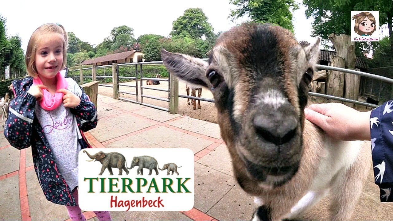 AUSFLUG IN DEN ZOO 🐘 Mama wird fast aufgefressen 😱 und Hannah fährt Auto | Tierpark Hagenbeck