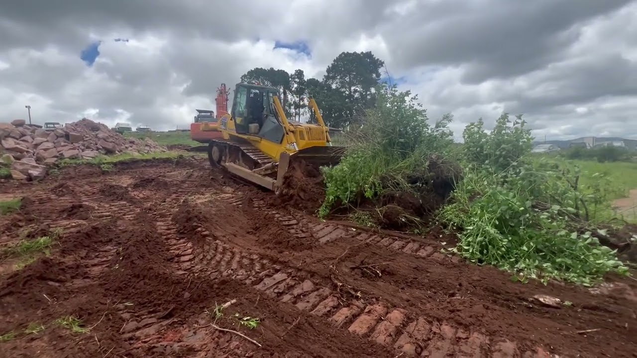 BULLDOZER, Komatsu D65 Clearing Land! #komatsudozer #bulldozerofficial #dozer 