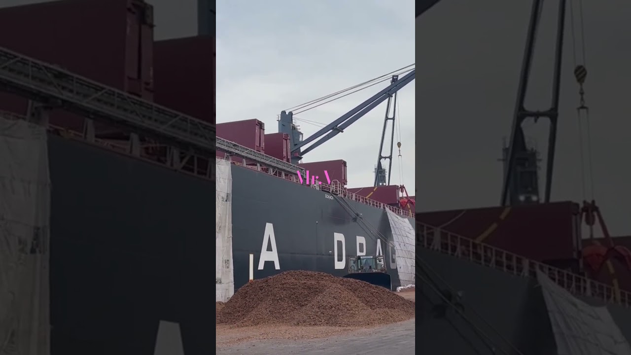 Unloading of wood chips #unloading #ships