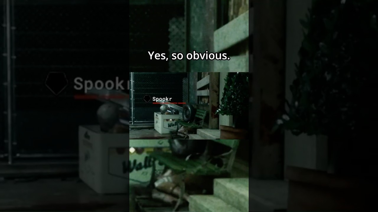 Они выглянули из коробки… и я её потерял | The Outlast Trials