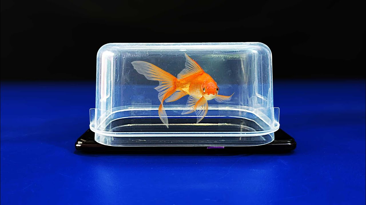 Make an awesome 3D hologram projector using a plastic jar | Pepper's Ghost effects