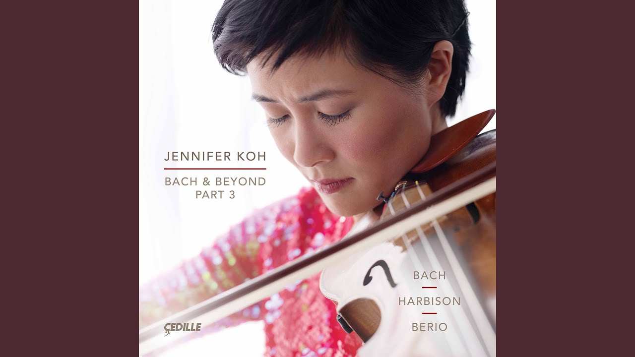 For Violin Alone: VII. Epilogue