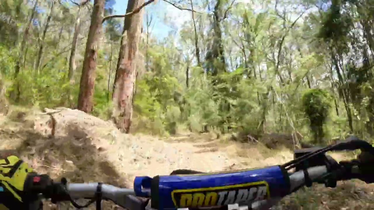 35 seconds of valley riding #bushbaby #girlrider #hubbyandme #ttr125 #lushgreenery #goprohero