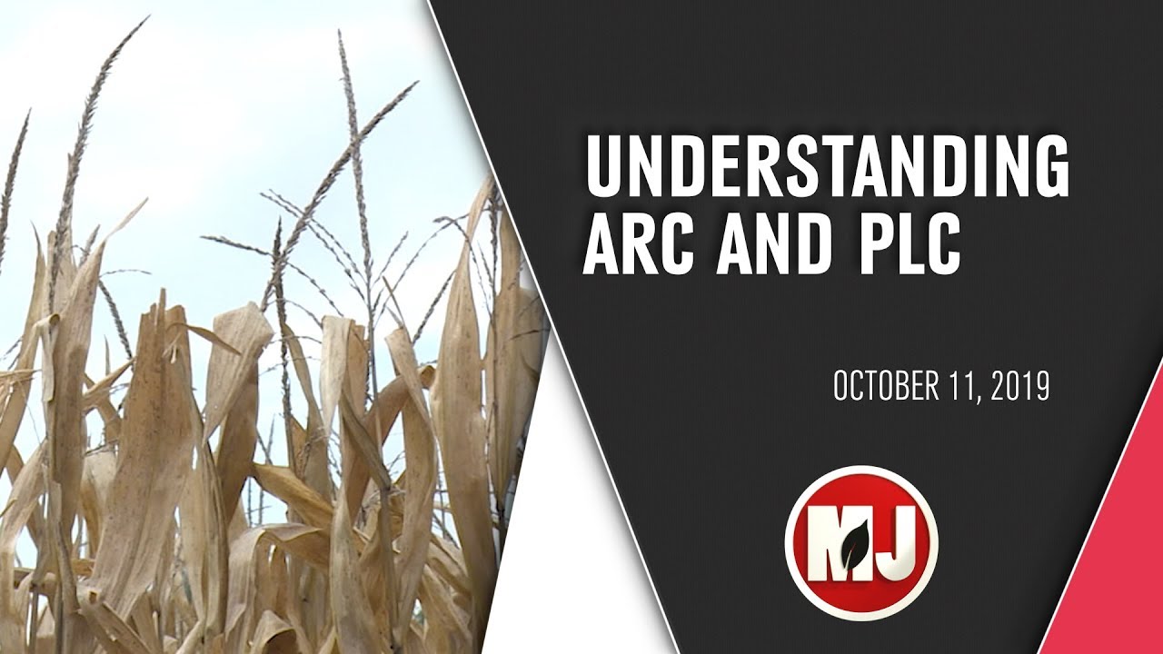 Understanding ARC and PLC | Brad Lubben, Randy Pryor, Cathy Anderson | October 11, 2019