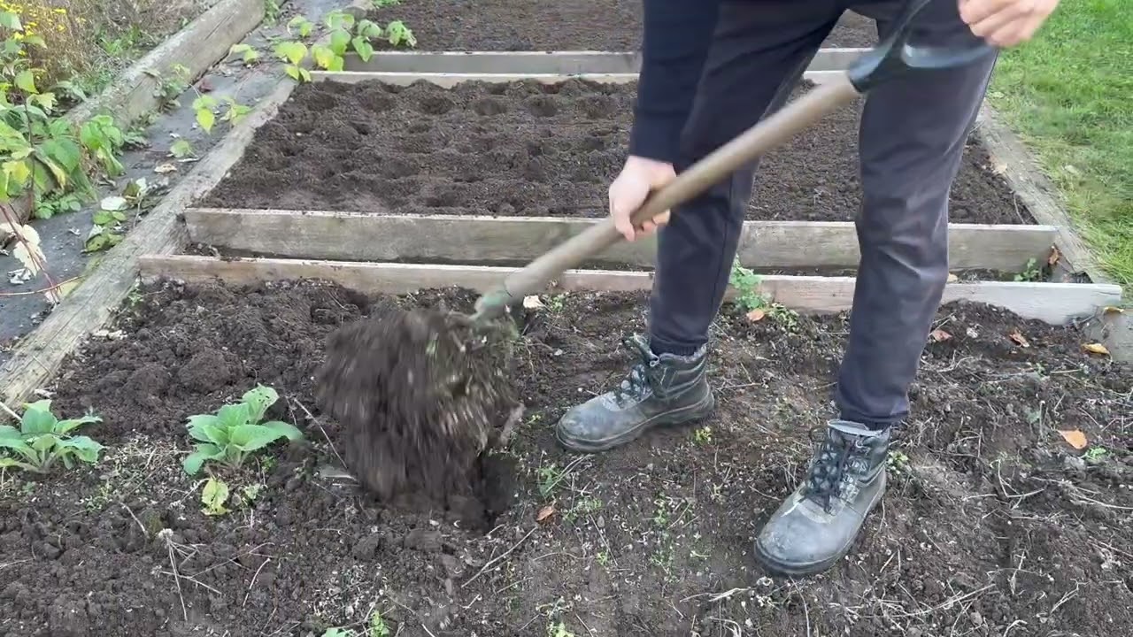Jak zr&yacute;t z&aacute;hon