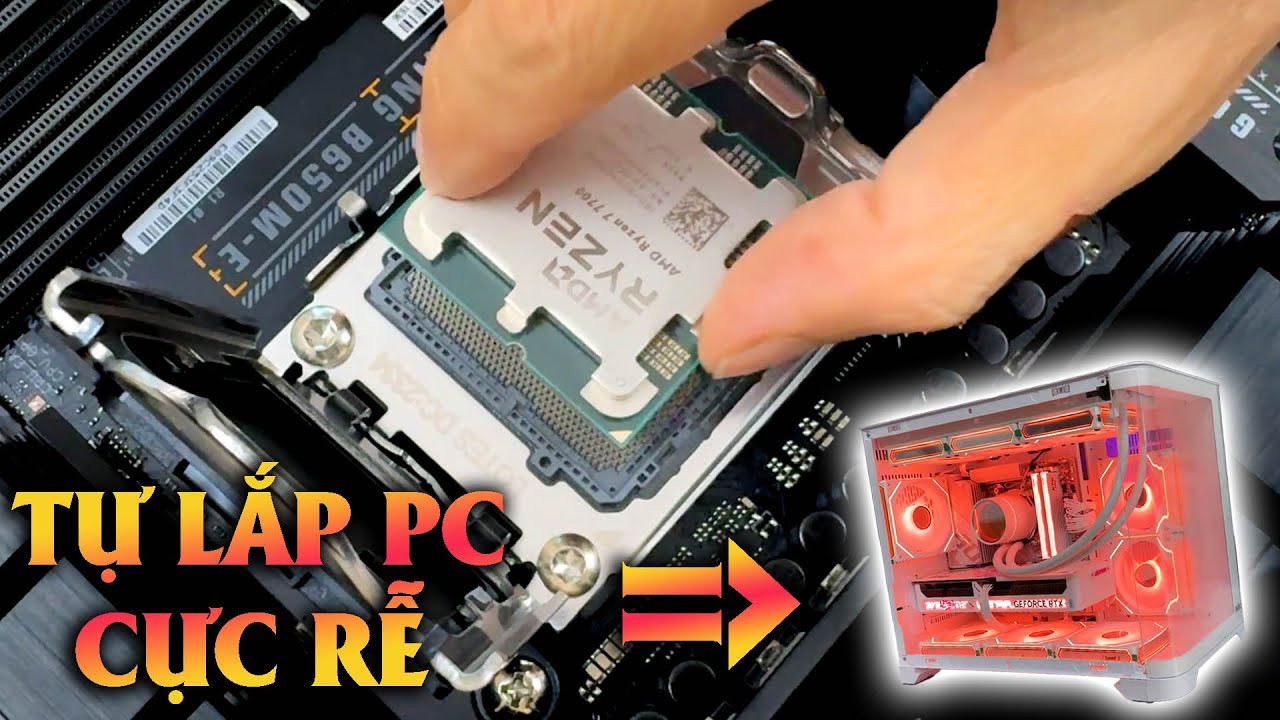 Hướng Dẫn Tự Rap Pc Bể Cá Chi Tiết Đơn Giản Nhất Cho người Mới