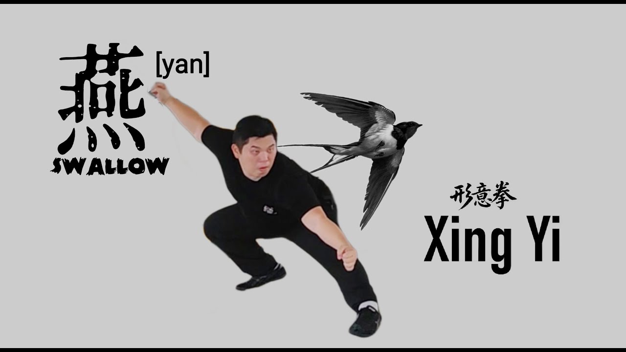 XingYiQuan - Swallow form application in takedown (12 animal) 形意拳 - 燕形 摔法 grappling #xingyiquan