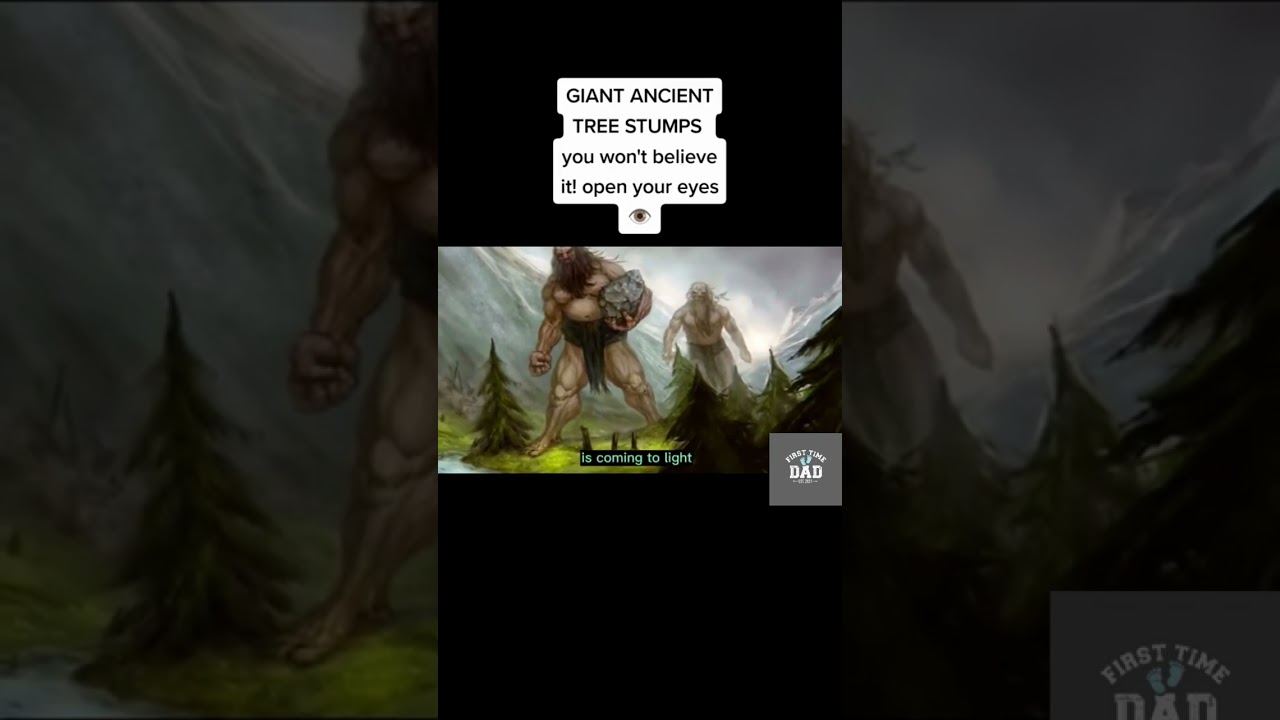 Giant ancient tree stump #earth #gainttrees #history