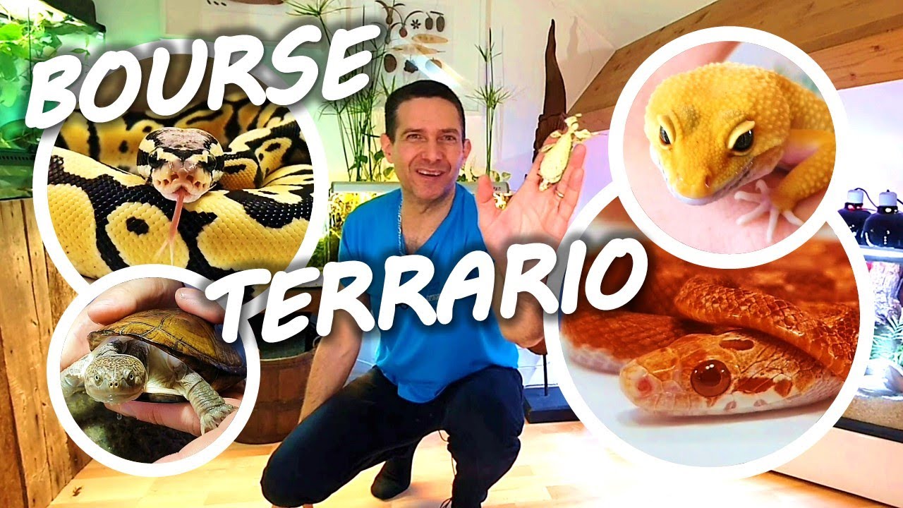 BOURSE TERRARIO