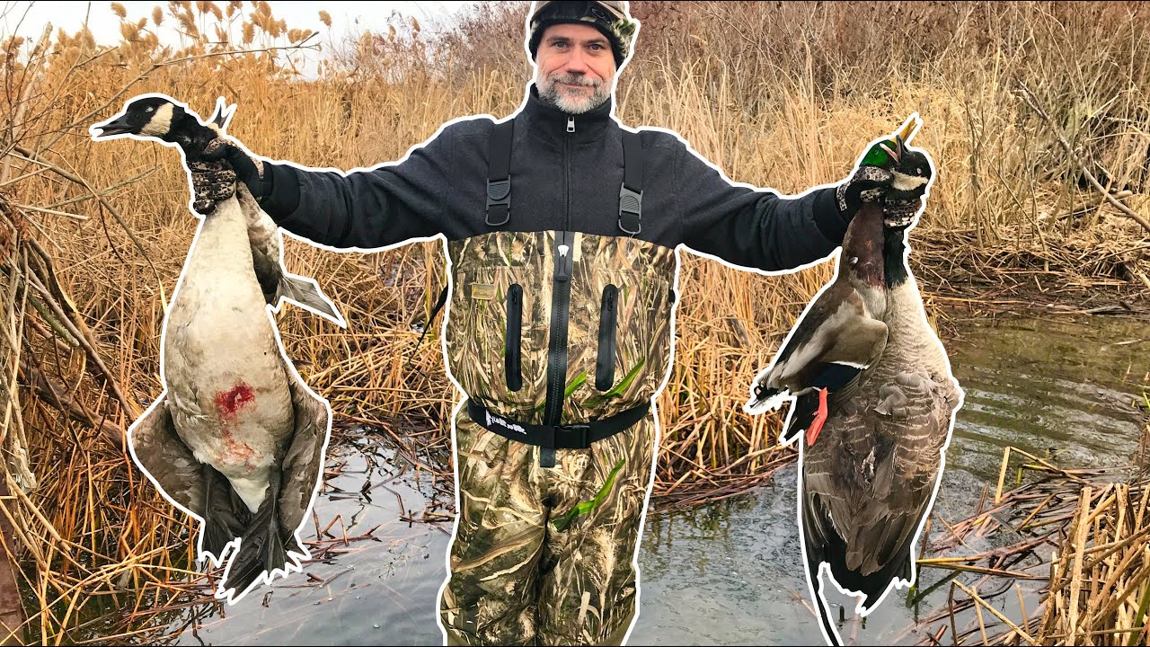 Oregon Goose + Duck Hunting w/my Small Munsterlander Pointer