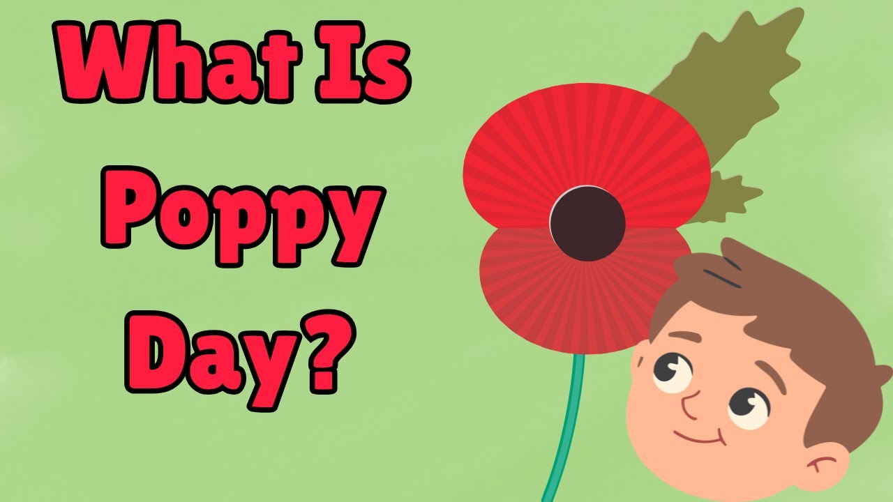 Why Do We Celebrate Poppy Day? | Remembrance Day for Kids l History for Kids