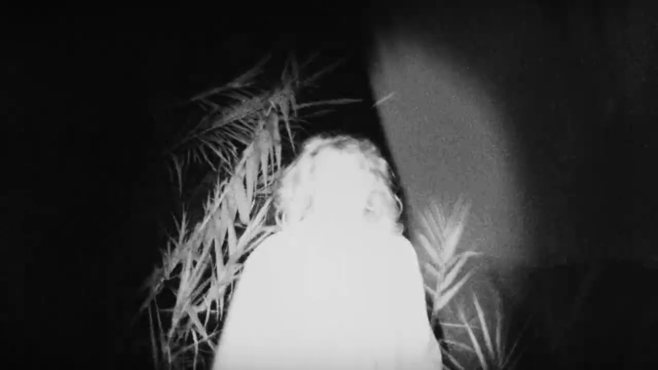 Dumka Algoritmo - Sorry I don't know who I am