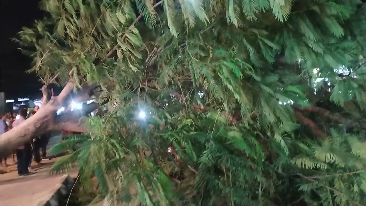 Kala baishai ra tandav re sabu nasta heijaichhi😭#tandav #kalabaishakhi