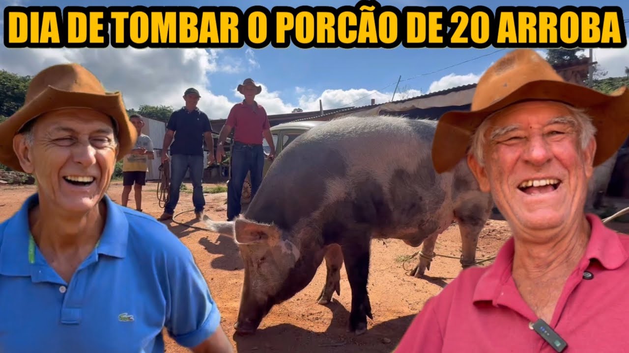 VARDINHO MOSTRA SEU LINDO SÍTIO PRO GOIANO E PRO ESPANHOL