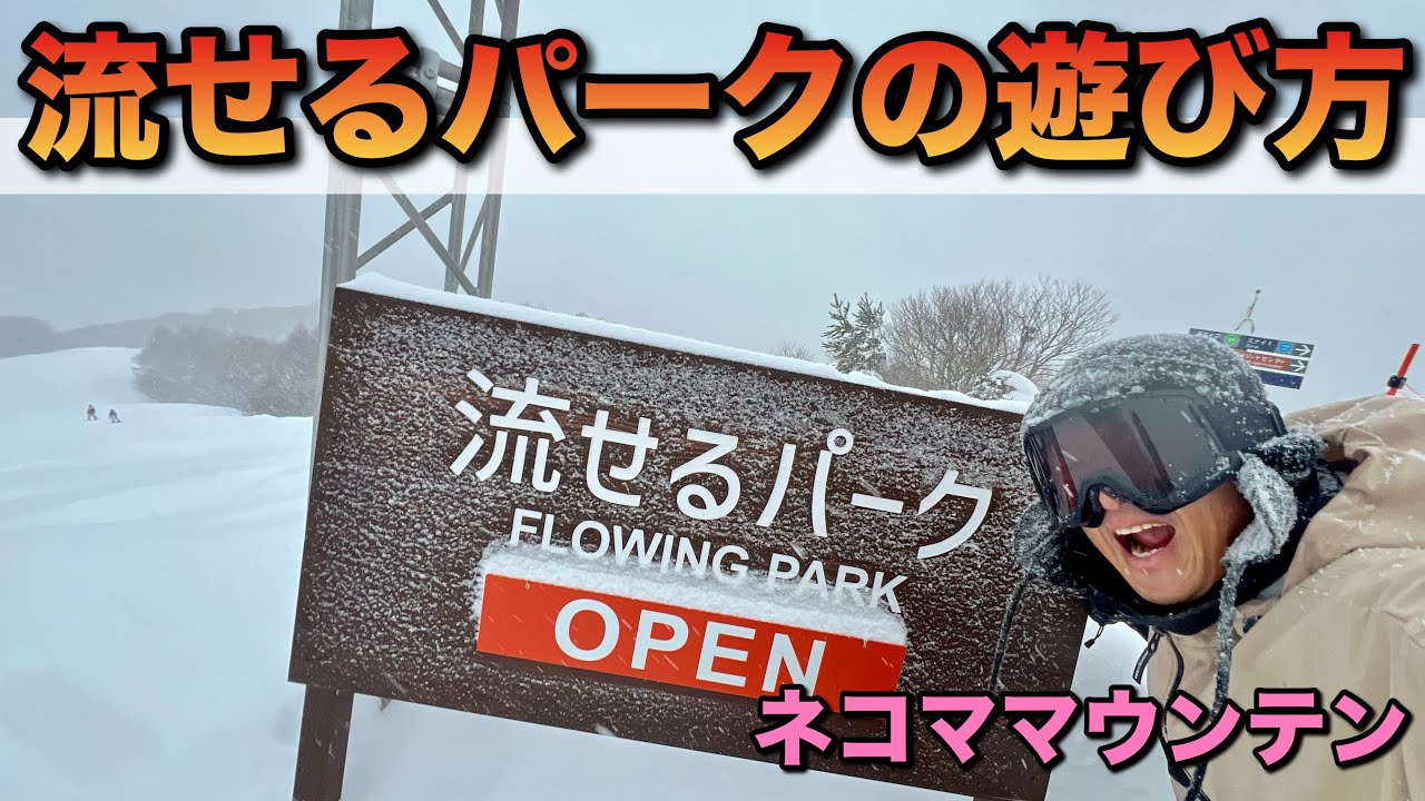 だれでも楽しめるパーク！流せるパークの遊び方！ネコママウンテン
