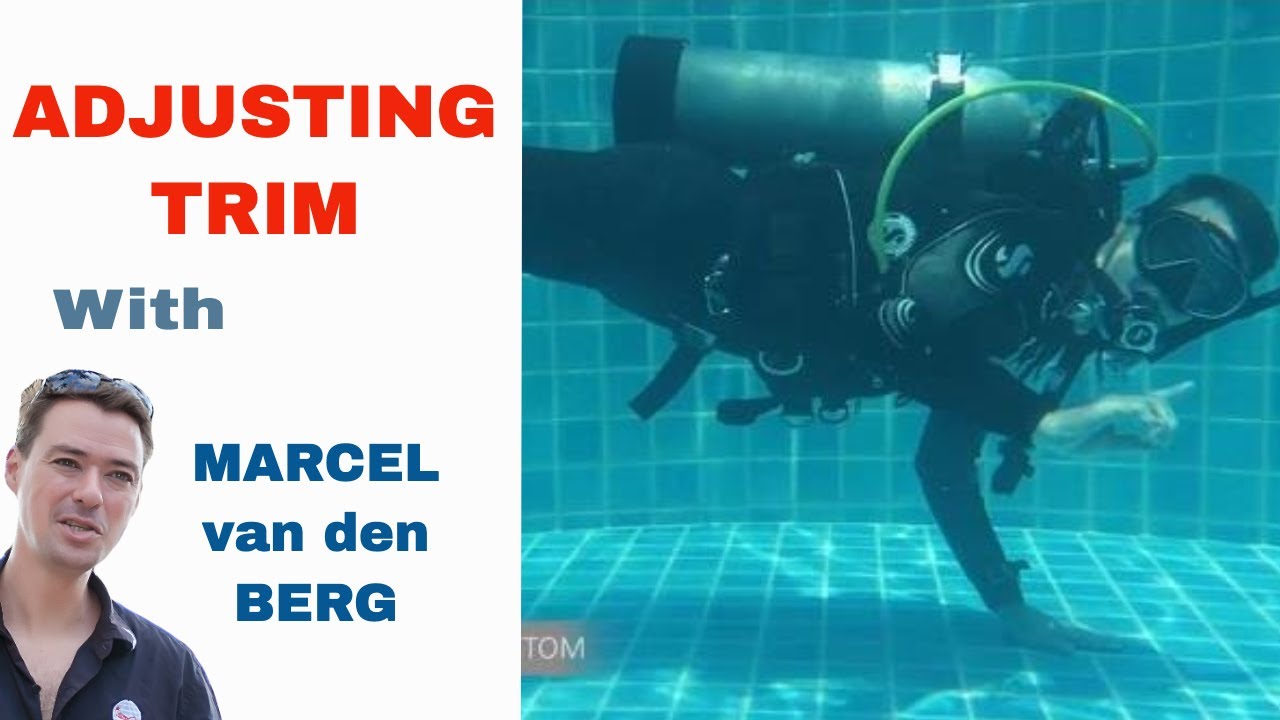 PADI Swimming Over a Sensitive Bottom IDC Divemaster Skill Circuit