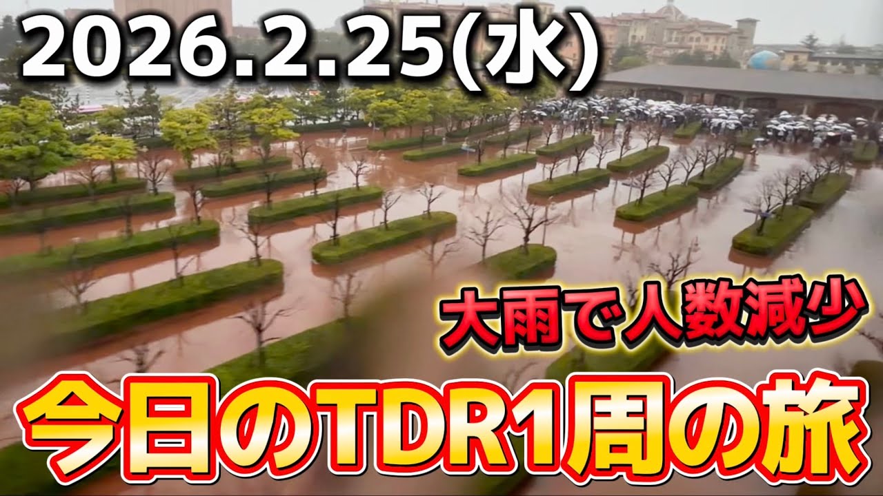 【速報】大雨で人数減少で今日は大当たり‼️今日のディズニーリゾート1周の旅【2026.2.25】