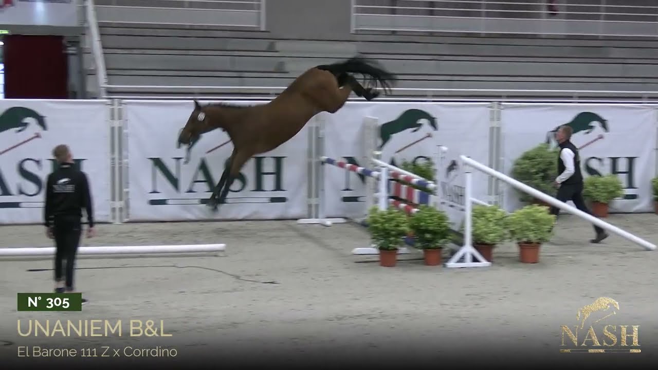 N&deg;305 - Unaniem B&L - TRAINING NASH Elite Auction - October 27th, 28th & 29th of 2023