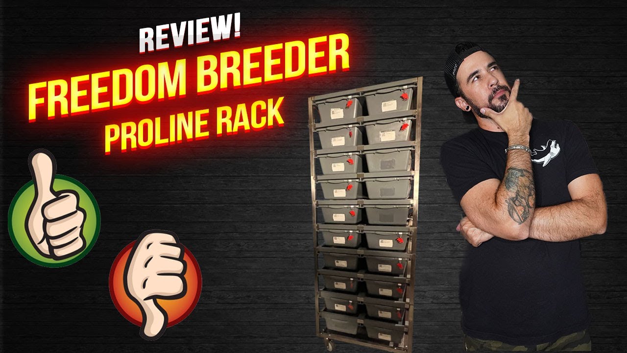 Freedom Breeder ProLine Rack Review!