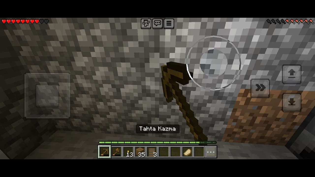 Minecraft hayatta kalma
