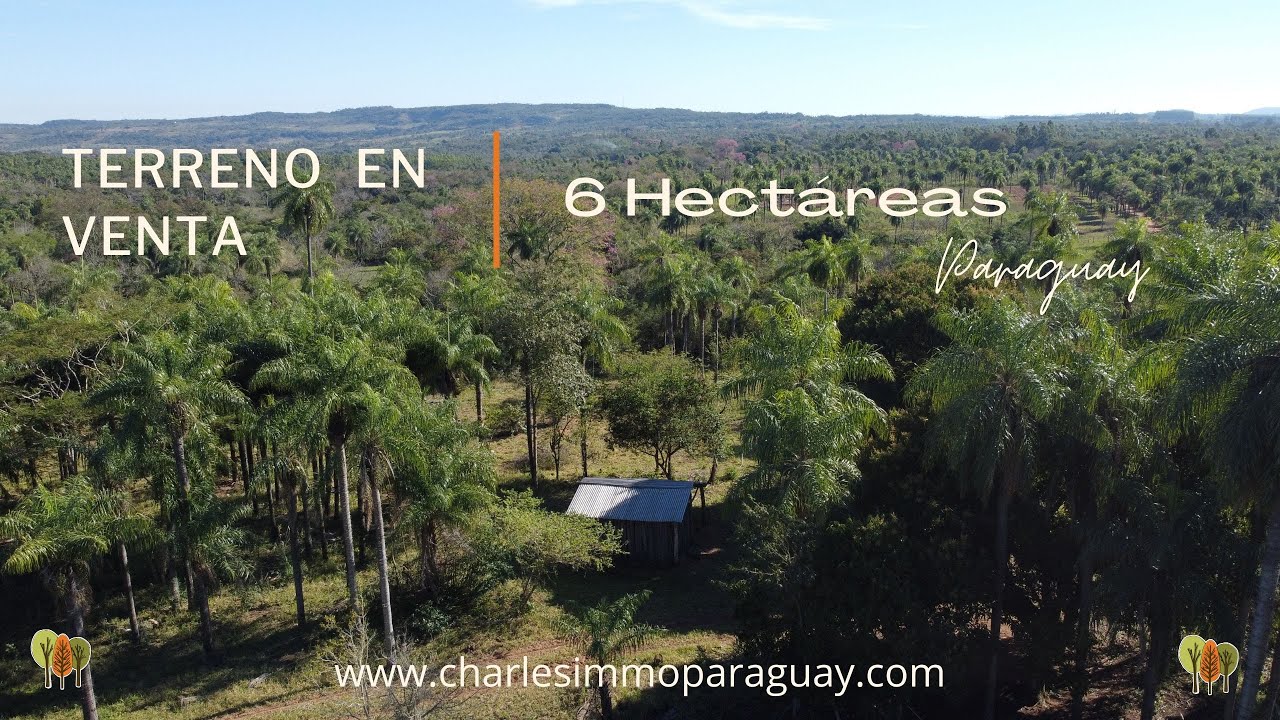 La Colmena - Terreno en venta Paraguay 6 Hectáreas PY207
