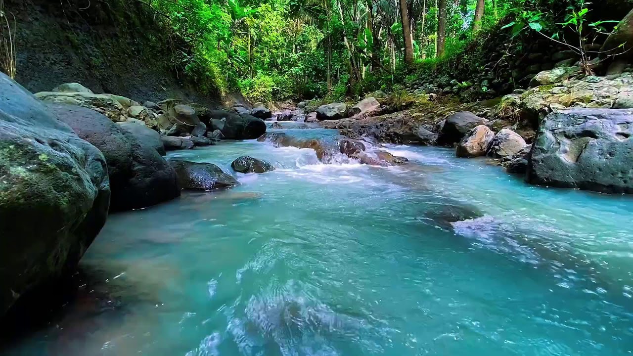 Forest River Night Flow, Mountain Stream Sounds, Sleep