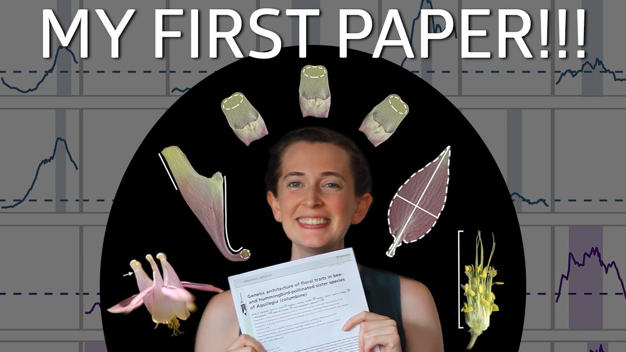 I published my first first-author paper!