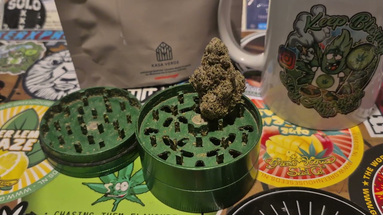Kasa Verde HBE T25 Halle Berry Medical Cannabis Flower🫐🍊(18+)