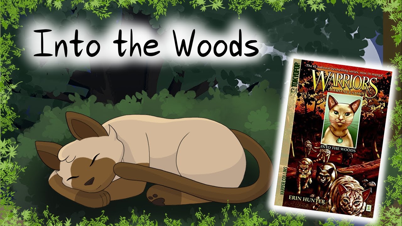Into the Woods – Trip Through Time | Warriors Analysis