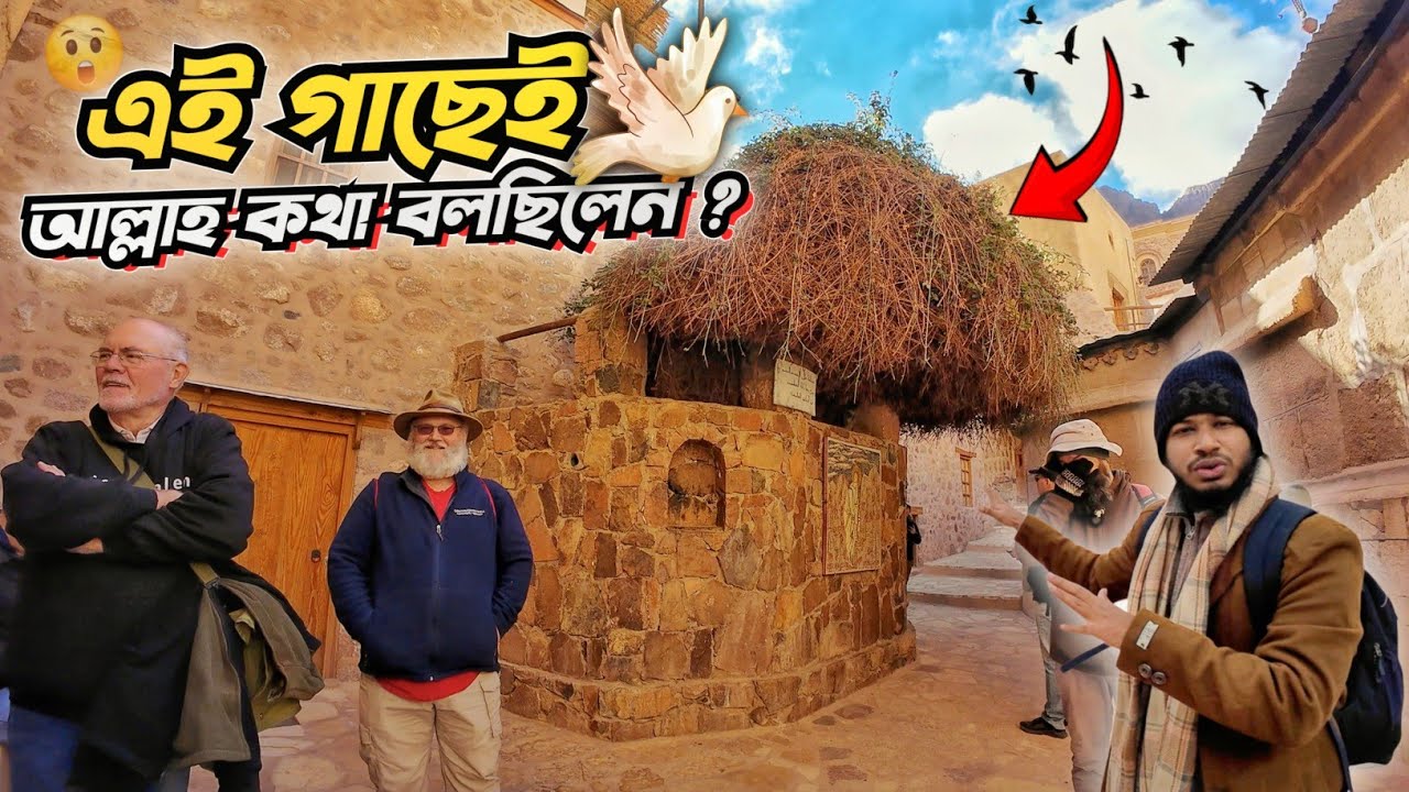 ⁠যে গাছে আল্লাহ কথা বলেছিলেন নবী মূসা (আ)-এর সাথে | Jabal al Musa | Mount Sinai
