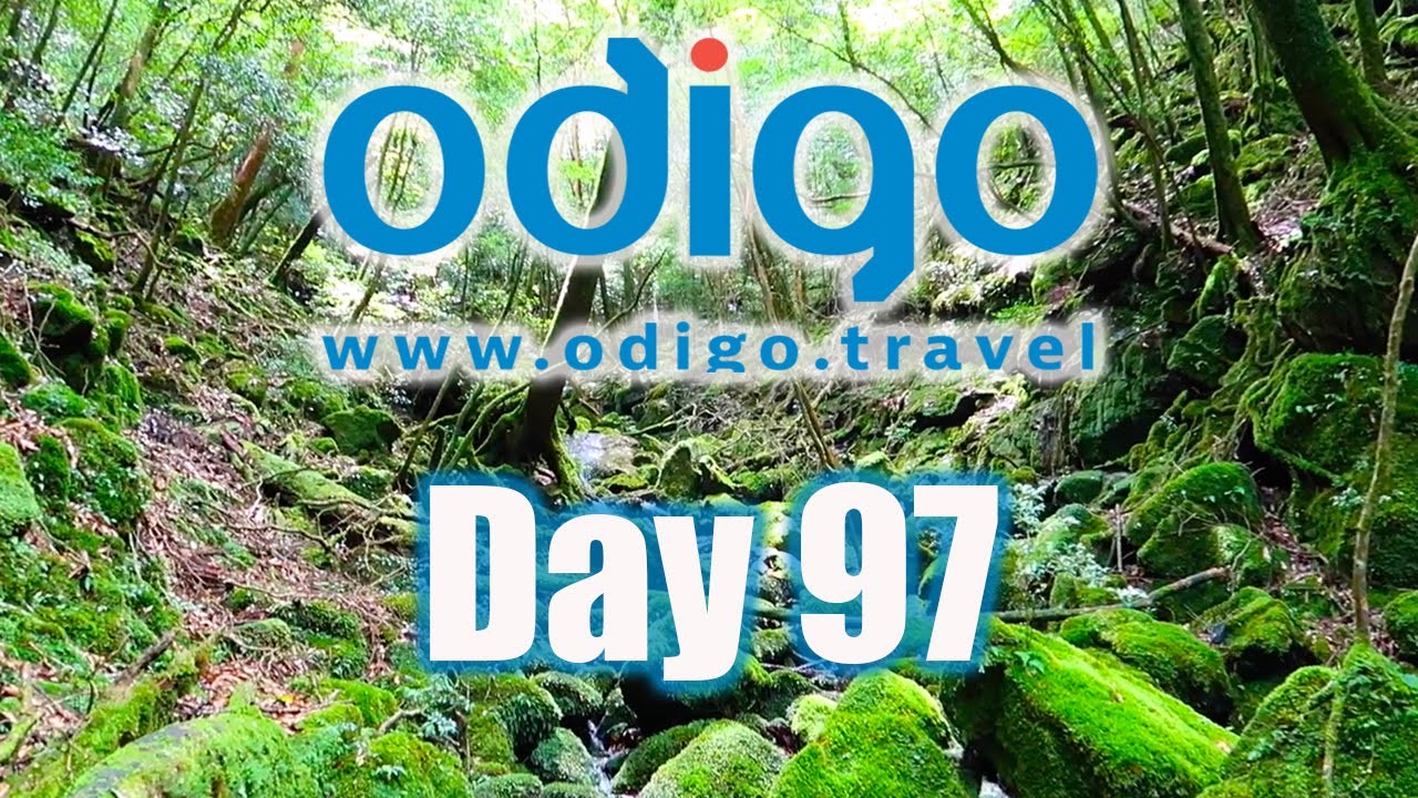 Kagoshima Vlog: Yakushima Island [Ft. Rachel and Jun, OkanoTV & MillieFreckles]