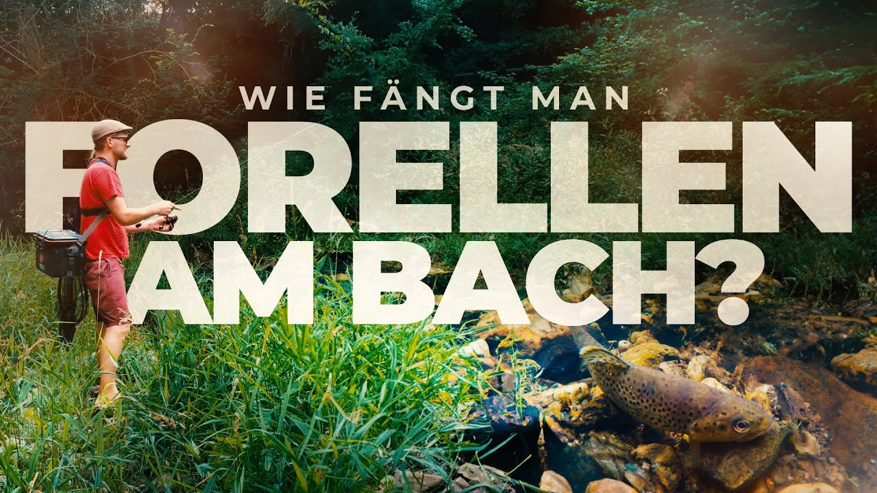 WIE ANGELT MAN FORELLEN? - Mit Spinnrute und leichtem Gepäck