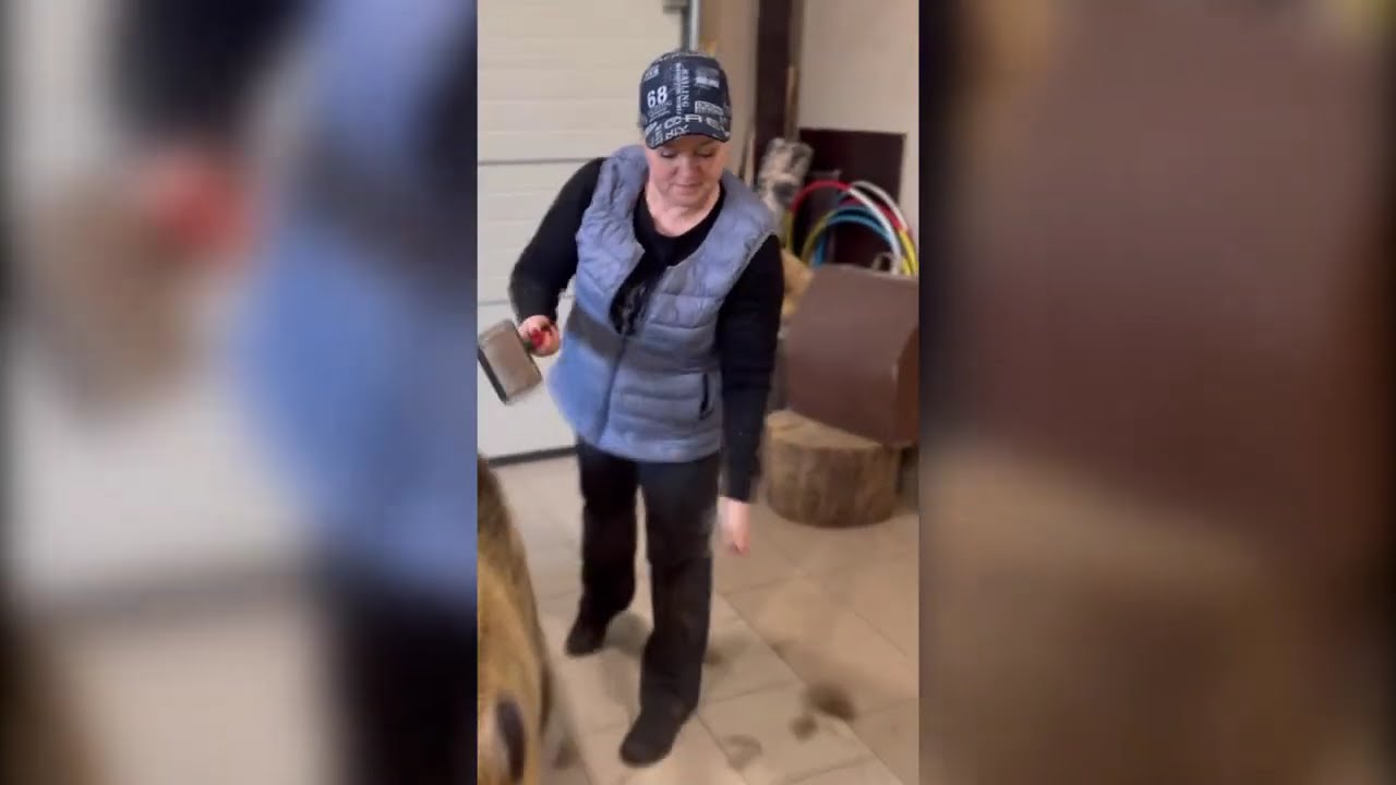 A Normal Day In Russia v63