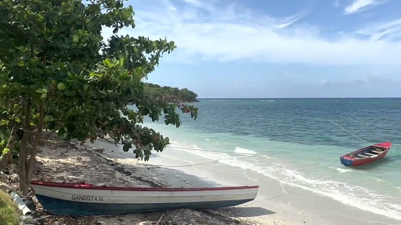 PROPHECY MUST FULFILL : Jerry Harris Lyrics & Music  Allan Harris Listen Up Records