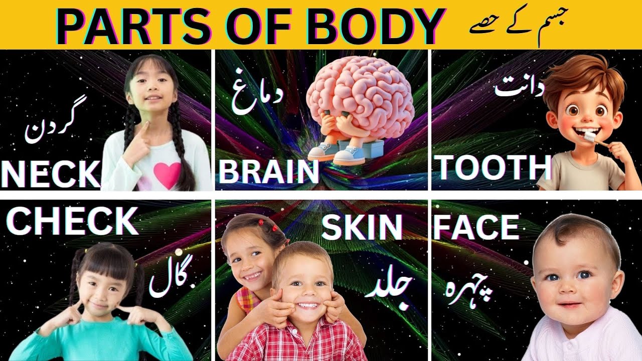 Parts of Body |جسم کے حصے| 