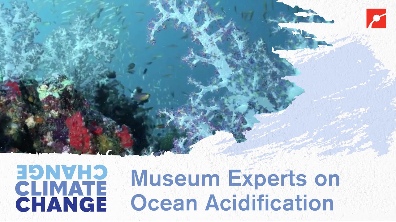 What is Ocean Acidification?