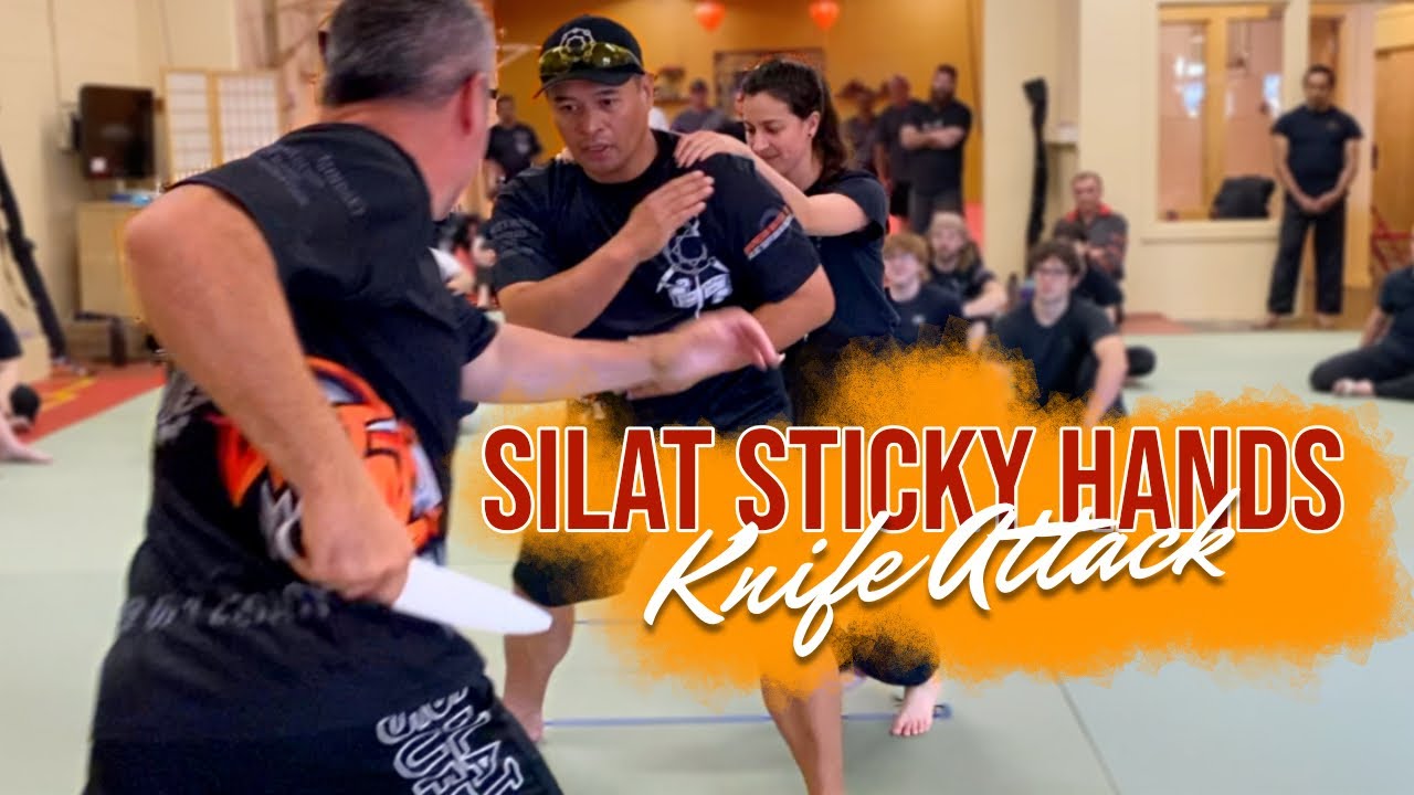 Silat Sticky Hands Vs Knife (TRAINING DRILL) - Silat Suffian Bela Diri 