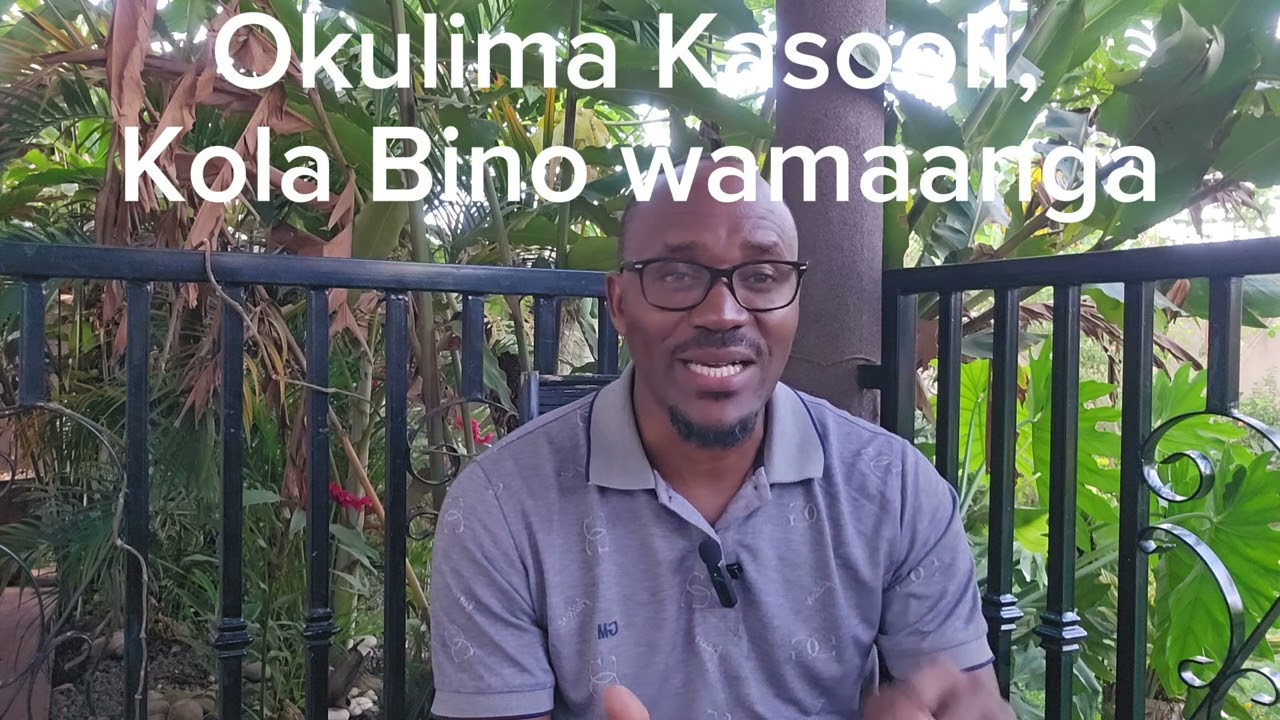 Okulima kasooli, kola bino wamaanga, ofune