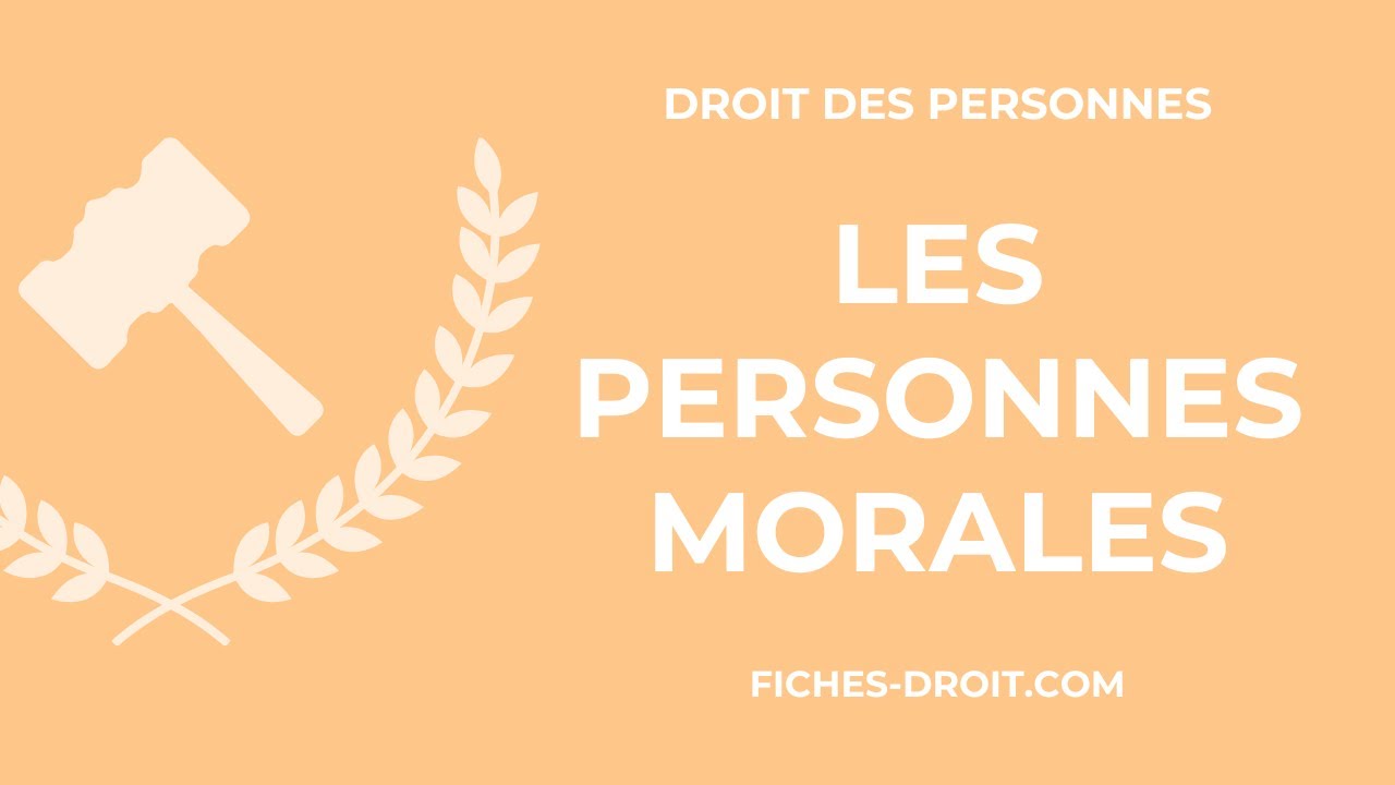 Les personnes morales (définition et exemple)