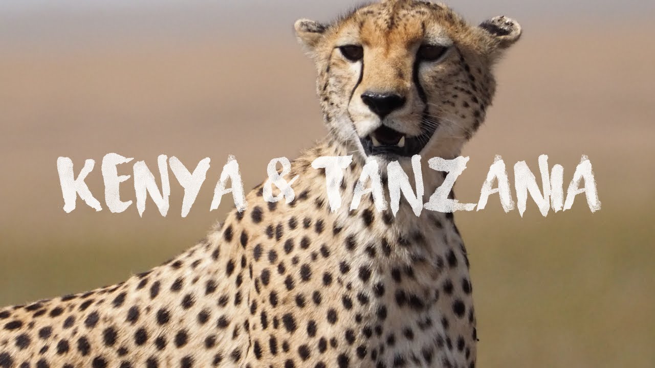 Kenya & Tanzania 4K - Drone - Travel Video